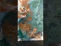 Celestial Bloom         #aestheticvideo #fluidartist #art #acrylicpainting  #contemporaryart #artist
