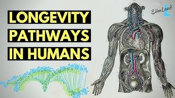 Anti Aging and Longevity Pathways in Humans (Full Video Lecture)