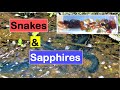 Snakes and Sapphires | Liz Kreate