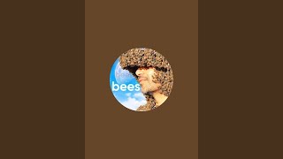abejas