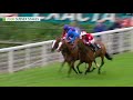 THE PERFECT RACEHORSE | Rock of Gibraltar | Racing Icons
