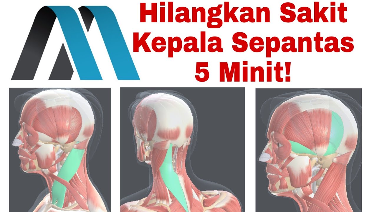 petua hilangkan sakit kepala