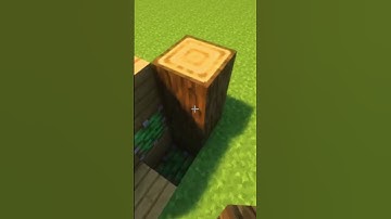 Minecraft Block Swapper😱 #shorts #minecraft #gaming #viralvideo