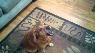 2010-08-30_15-40-31_827.3gp