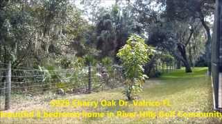 5929 Cherry Oak Dr Valrico FL River Hills #1 Realtor Real Estate Video Tours by RE/MAX