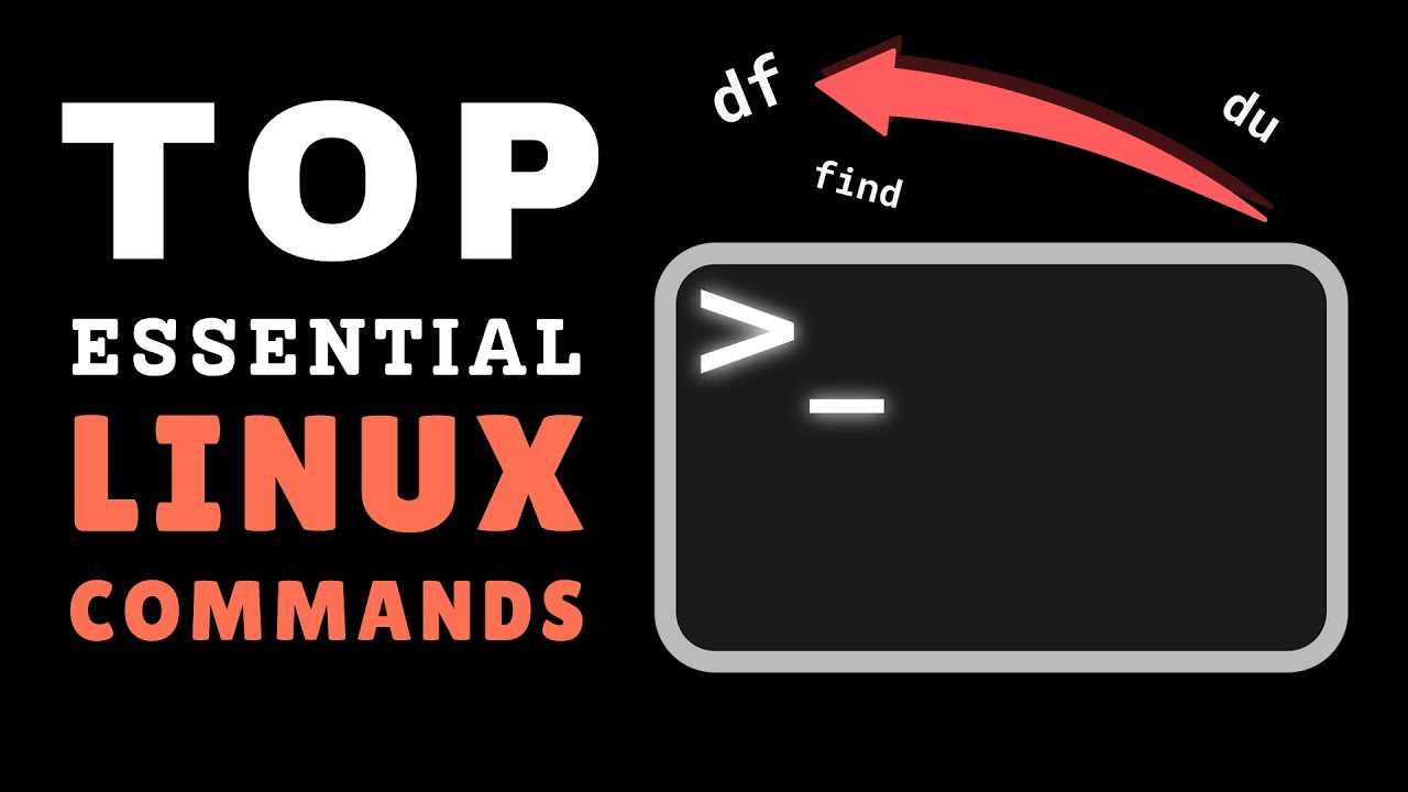 Master the Terminal: Top 5 Essential Linux Commands You Need to Know ...