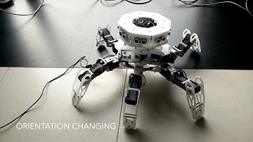 ROS Hexapod Robot