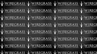 Wiregrass Georgia Tech Spring/Summer 2020 Commencement Ceremony