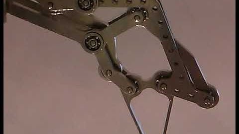 Bio-inspried Minimally Actuated Gripper