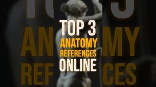 Top 3 Anatomy Reference Resources.