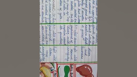 Human Digestive System (lesson plan -2) 7th class NCERT (B.Ed.)