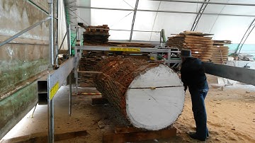 Cutting a large log at the sawmill