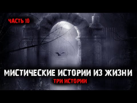 Мистические Истории Из Жизни Выпуск 10.