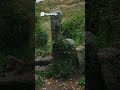 🚶♂️🚶♀️🧭⛰️.... #malayalam #malayalamtravelvlogs #travel