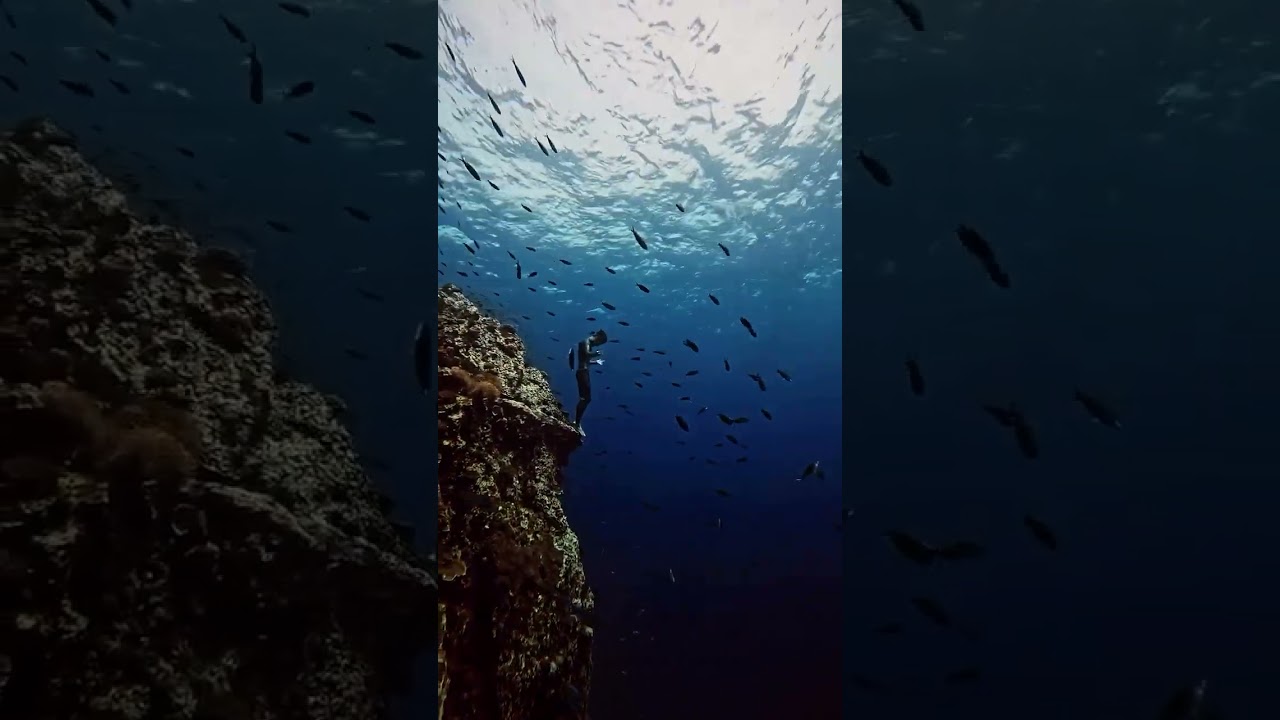 Wonder of sea  #lostinthailand