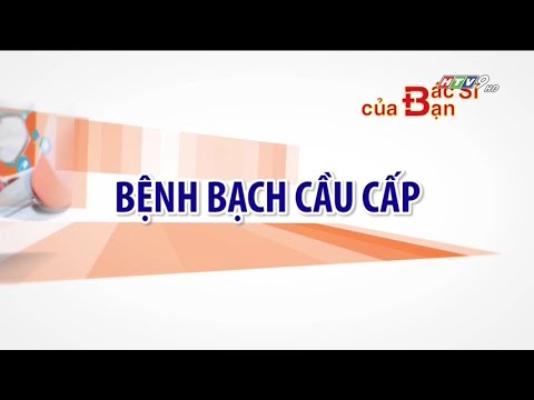 Video: Sản Xuất Quá Mức Các Tế Bào Máu Trắng Trong Tủy Xương ở Chó