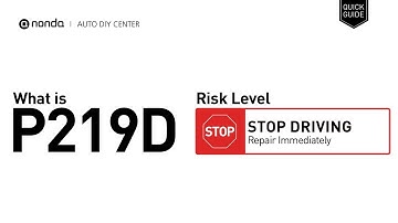 What is P219D Engine Code [Quick Guide]