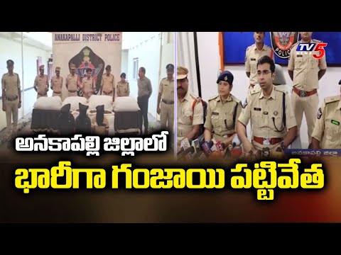 భారీగా గంజాయి పట్టివేత ..275 kg Ganja Seized Worth ₹13 Lakhs In Anakapalle District | TV5 News - TV5NEWS