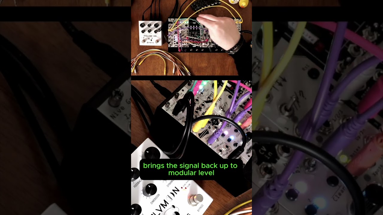 Quick demo of Nive Grad level shifter | Noise Engineering