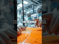 Soft Gripper AI Experiment Reduces Fruit Bruising