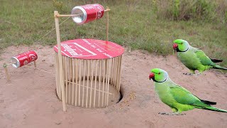 Build Underground Parrot Trap Using Cage Tool With Can_ Easy Bird Trap Working 100% by Homefising 16,242,458 views 11 months ago 10 minutes, 45 seconds