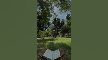 آيات الله تتلى #تلاوة_هادئة #إسلام_صبحي #القران #قران_كريم #explore #تلاوة_خاشعة #القران_الكريم