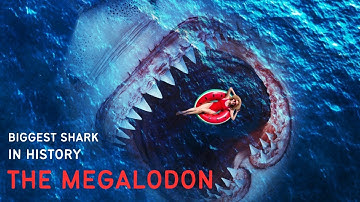 The MEGALODON Unveiling the Mystery of the Biggest Shark in History!