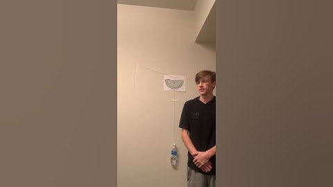 Physics 1 Lab 9 Pendulum Video