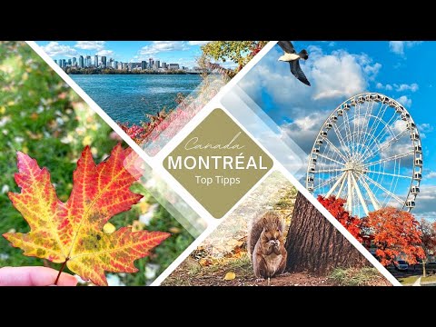 Video: Die beste Reisezeit für Montreal