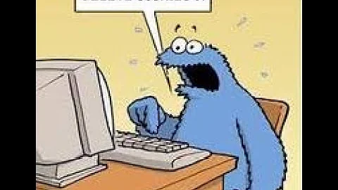 Most Popular Privacy Search Engines in 2025