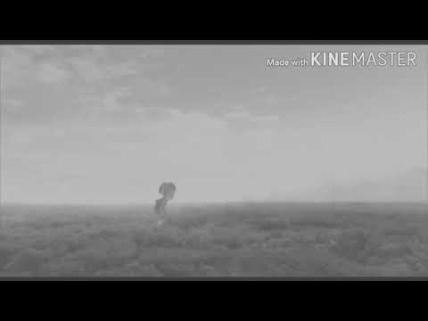 雨き声残響 / 戦争MAD  /  一周年記念動画