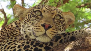 Tanzania Safari 2023 part 1: Serengeti National Park