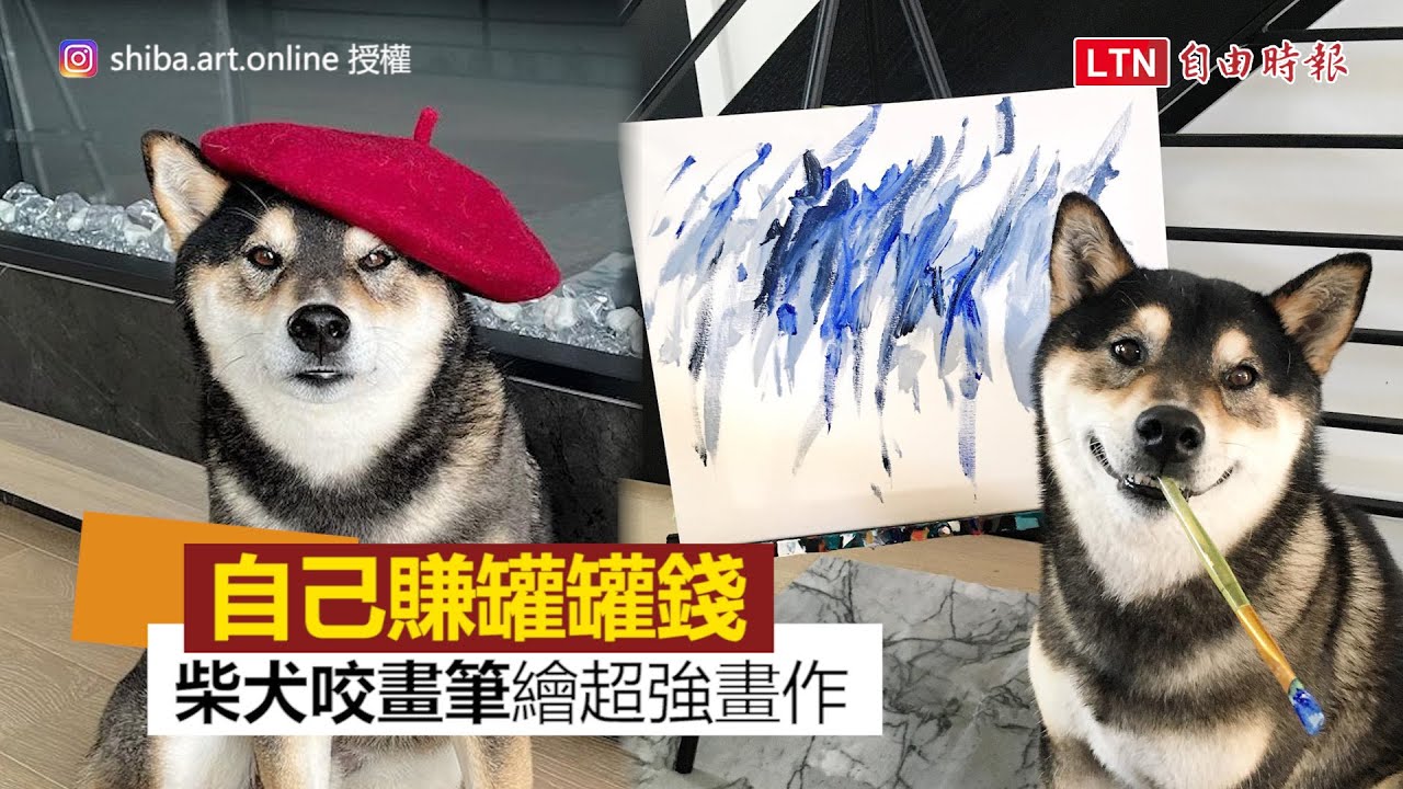 自己賺罐罐錢 柴犬 發揮藝術天分 咬畫筆繪自畫像 自由電子報影音頻道 自己賺罐罐錢 柴犬 發揮藝術天分 咬畫筆繪自畫像 自由電子報影音頻道