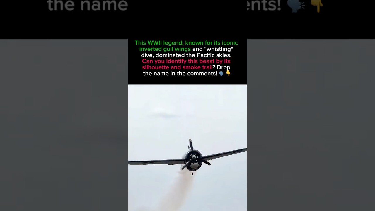 The Most Iconic Wing Shape in History? 