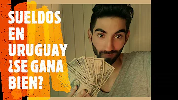 ¿Cuánto gana por mes un escribano?