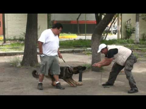 video phone beyonce mp3 Practica Baru mix 28 agosto 09