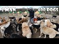Lhomme de 65 ans a construit un paradis pour les 400 chiens quil a sauvs et adopts
