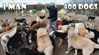 65-летний мужчина построил рай для 400 собак, которых он спас и усыновил.