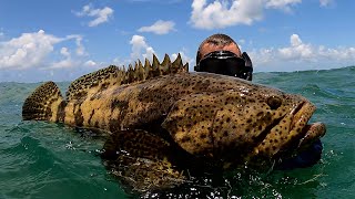 Catching Giant fish BY HAND! HOLDING MY BREATH! {Catch Clean Cook} with BlueGabe and DeerMom