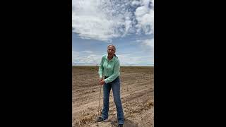 Cotton Conservation 2023 Introduction