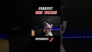 What Happens When You Apply Too Much Power To A Toy?