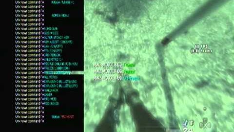 My MW2 mod menu
