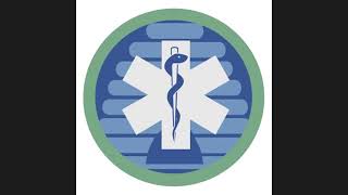 Nursing Peer Mentor Meeting: Application (HESI, Interview, and more)