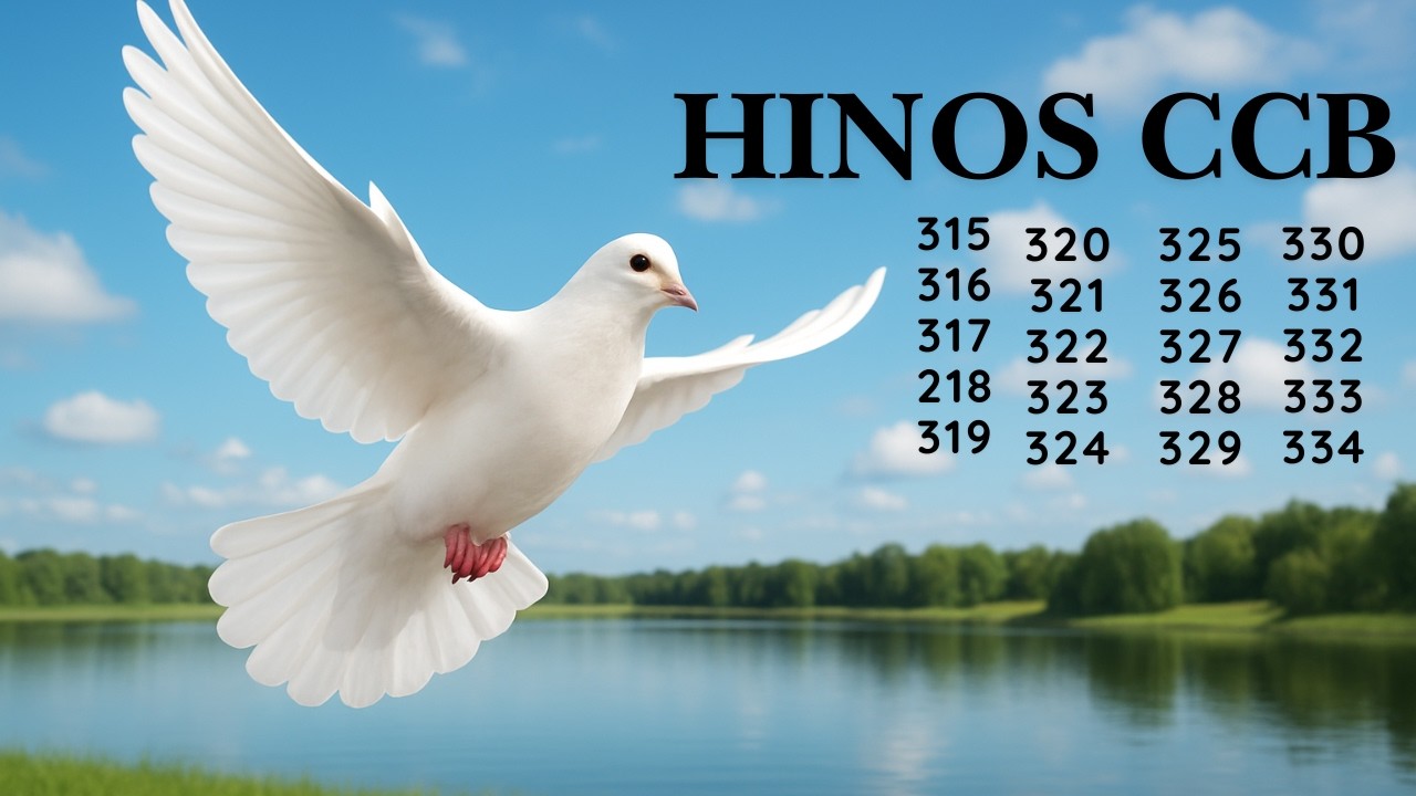 HINOS CCB - 83 | 315 316 317 318 319 320 321 322 323 324 325 326 327 328 329 330 331 332 333 334