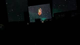 Reacting to the 2003 wonder pets pilot episode Linny the guinea pig in space  Reacting to the 2003 wonder pets pilot episode Linny the guinea pig in space 