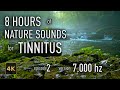 8 Hours Nature Sounds for Tinnitus — EP 2 | [7,000 Hz] | 4K HDR10 - E02-7000