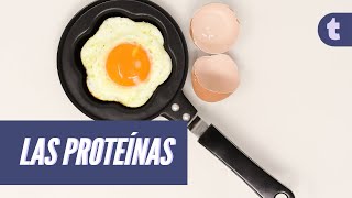 Todo lo que tenés que saber sobre las proteínas