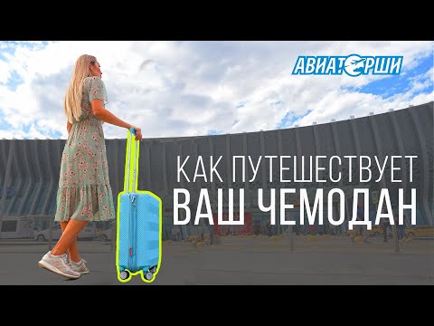 Как путешествует ваш багаж | Аэропорт Симферополь