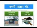 बकरी पालान शेड : आदर्श और कम लागत में #Ideal and Low cost Shed for Goat Farming # By Sachin Rindhe