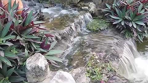 aquarium filter/ thiết kế dòng thác tuyệt đẹp, Tạo Thác Nước cho hồ cá koi